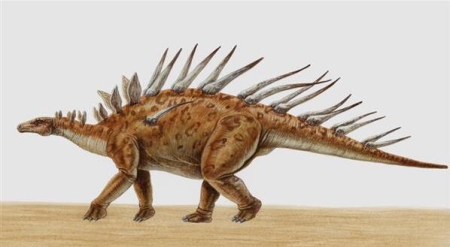 恐龙时代有屋顶的蜥蜴，剑龙的脑袋长在屁股上