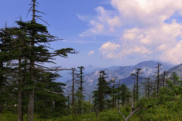 西安冬天自驾游适合去哪里旅游