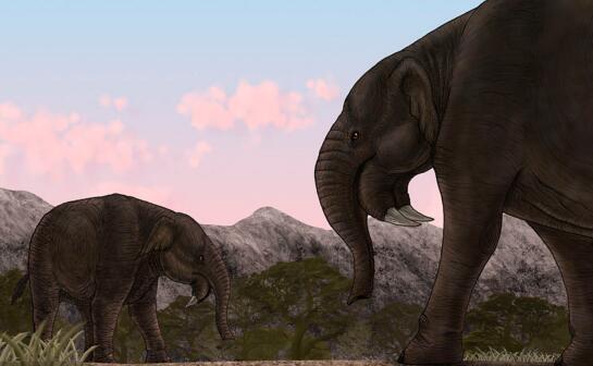 已灭绝恐象非比寻常的牙齿，现代大象相反方向弯曲