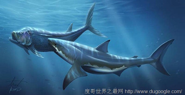 最凶猛的中生代鲨鱼,攻击海王龙的白垩刺甲鲨