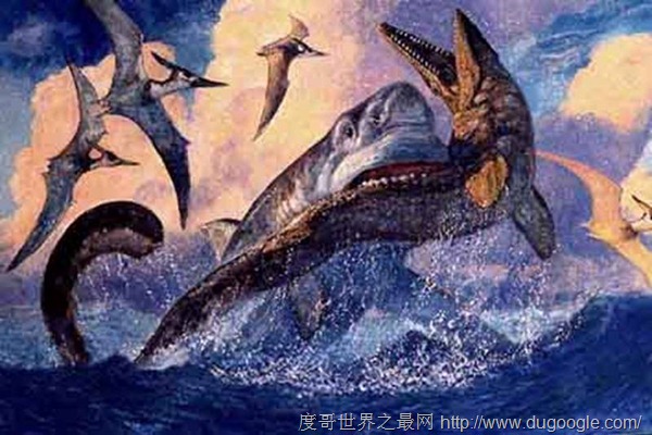 最凶猛的中生代鲨鱼,攻击海王龙的白垩刺甲鲨
