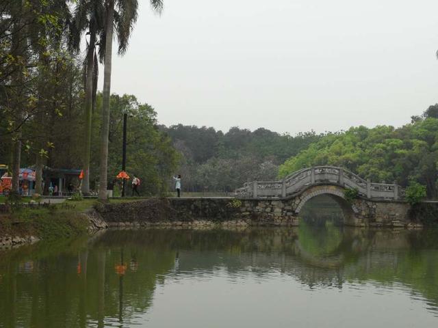 广州华南植物园游览路线图（广州旅游景点攻略之）(4)