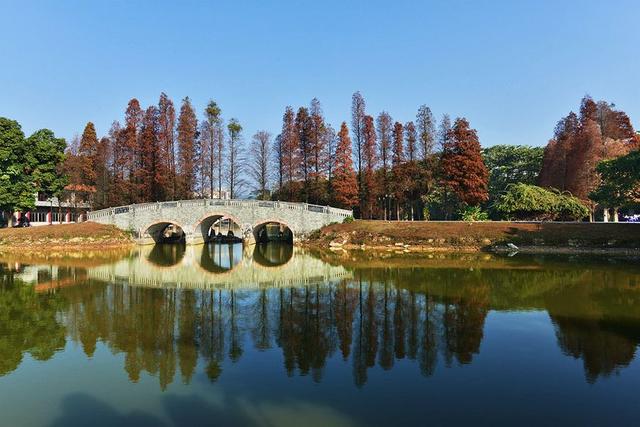 广州华南植物园游览路线图（广州旅游景点攻略之）(5)