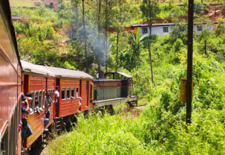 全世界最最美的火车，全程既走高山又跨大海，比旅行还过瘾！ 