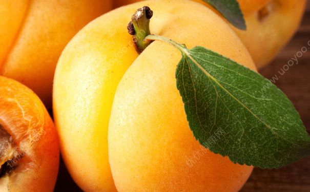 一个杏子大概多少克？一个杏子有多重？(1)
