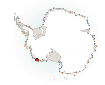 南极洲发现一个新的濒临灭绝的帝企鹅殖民地