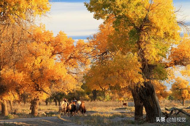 内蒙古旅游自驾游最佳线路（内蒙古经典自驾游路线和经典景点推荐）(5)