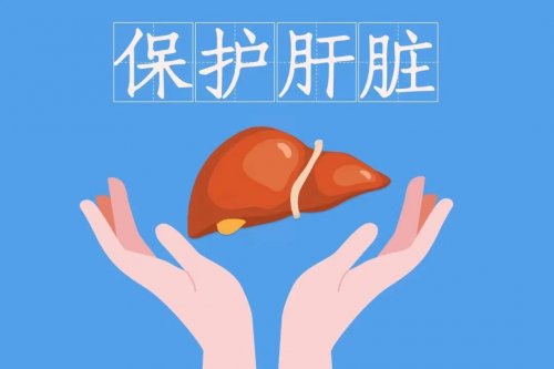  养肝的10种食物越吃肝脏越健康