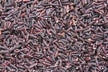 紫米的功效与作用 紫米的营养价值
