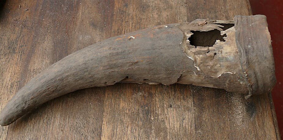 在南非发现的500年前牛角容器揭示前殖民时期科伊人和桑人的药物
