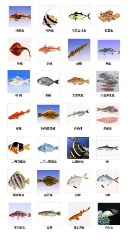 海鱼的种类