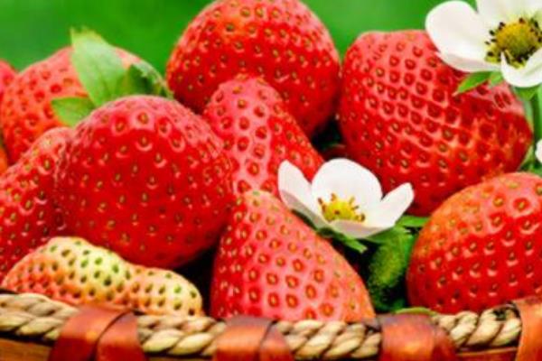 草莓要怎么保存不会坏 草莓要放冰箱里吗