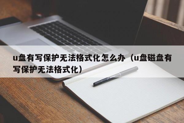 u盘有写保护无法格式化怎么办（u盘磁盘有写保护无法格式化）