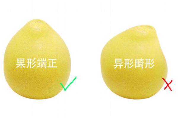 柚子什么形状的好吃 别买长的奥秘的