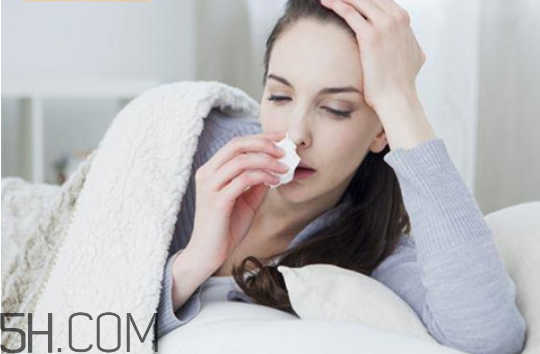 为什么换季会感冒？荆芥治疗感冒有功效吗？