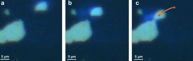 科学家利用飞秒脉冲激光作用于范德华界面的二维纳米片驱动器