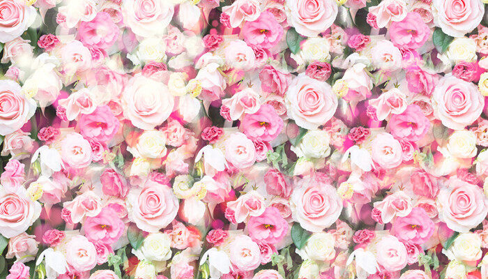 2玫瑰花.jpg