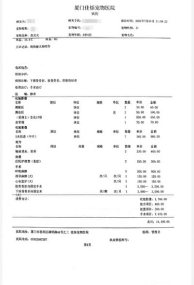 一万左右的狗狗,狗狗骨折手术花了一万七