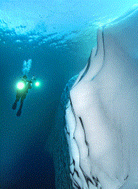摄影师潜入30米深海拍摄海底冰山画面极为壮观