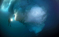 摄影师潜入30米深海拍摄海底冰山画面极为壮观