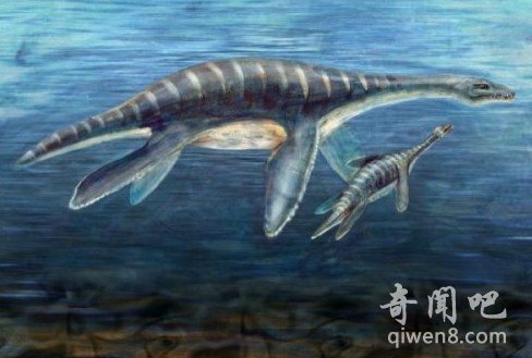 已灭绝的25种史前生物：史前食人鱼是现代水虎鱼的祖先