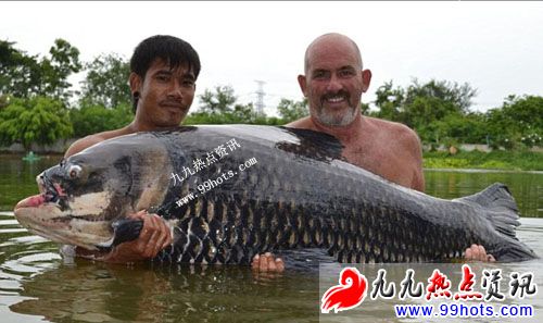 一块面包钓上的全球最重暹罗鲤鱼