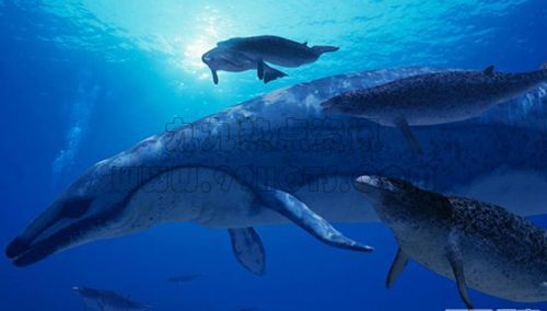 远古时期十大海洋猛兽：都是秒杀大白鲨的存在！