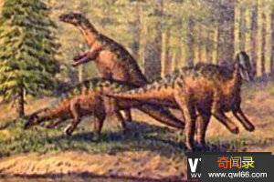 鸭颌龙简介：小型鸭嘴龙类超科恐龙体长4米/化石仅右侧齿骨