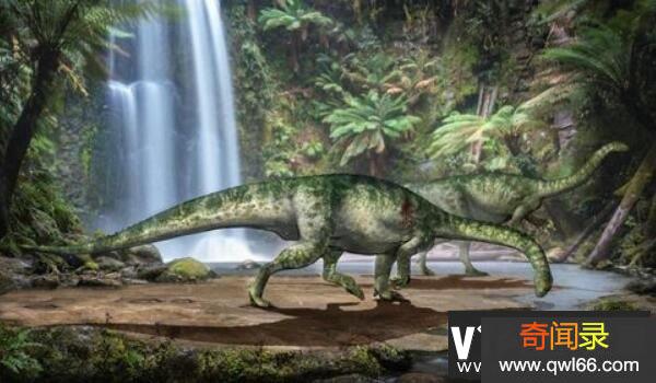 ：一种巴西巨型食草恐龙长24米/晚白垩世恐龙