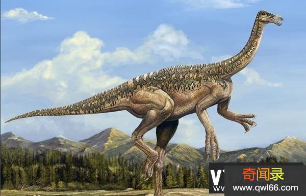 ：辽宁小型食草恐龙，体长1.25米早白垩世恐龙