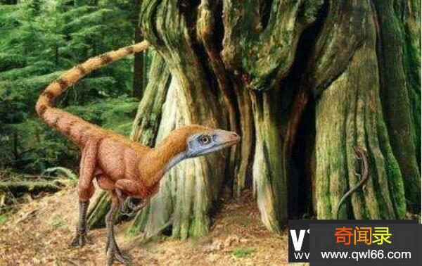 ：辽宁小型杂食性恐龙长0.8米/距今1.3亿年前