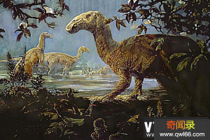 始鸭嘴龙：鸭嘴龙类恐龙的始祖，长有数百颗牙齿的恐龙