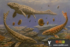 倾齿龙简介：体型庞大的巨型沧龙科恐龙体长14米/以大型海龟为食