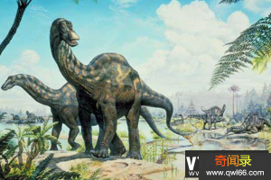 叉背龙简介：体长20米的超巨型恐龙，非洲草原上的超大恐龙