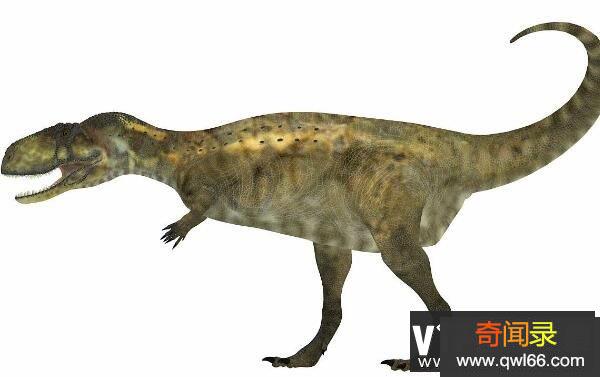 阿贝力龙简介：前肢短小的大型食草恐龙体长7.9米/白垩纪晚期