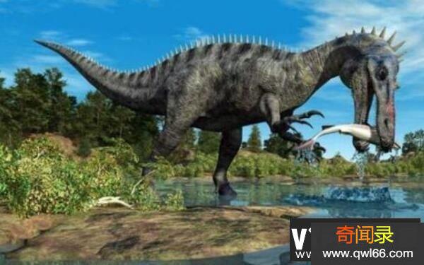 ：非洲大型食肉恐龙体长11米/嘴巴似鳄鱼