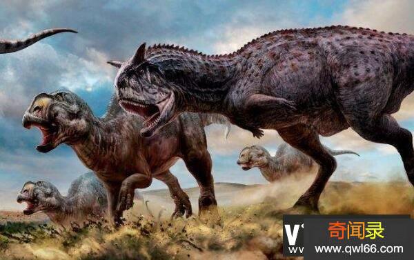 阿贝力龙简介：前肢短小的大型食草恐龙体长7.9米/白垩纪晚期