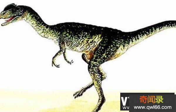 ：非洲大型食肉恐龙长10.5米/北非掠食者