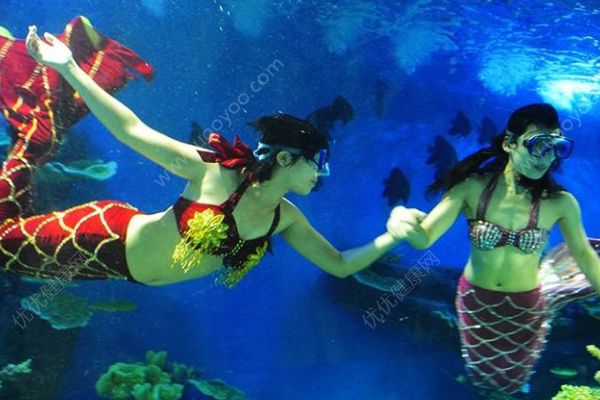 女孩海洋馆扮美人鱼！冬天长时间泡在水里有何危害？2