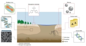理想化的北极永久冻土生态系统具有潜在的危险储存位置，注意与特定土壤层相对应的污染物和微物种.jpg