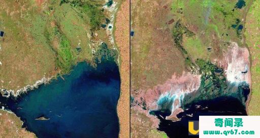 美国NASA从上帝视角对比 看看地球几十年的变化程度隐情还有哪些？