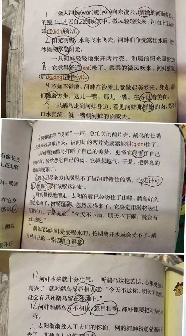 小学生质疑鹬蚌相争,学生质疑鹬蚌相争是怎么回事