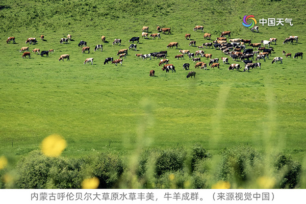 雨如何影响中国？ 一条神奇的线见证中国历史变迁
