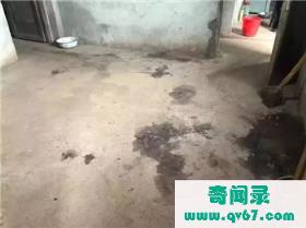 13岁男孩砍死母亲，13岁少年罗强锤杀双亲，网友：别再放他们出来了
