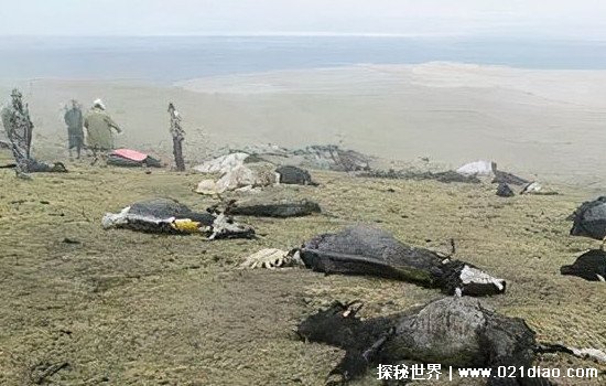 中国最恐怖的山，万祖之山昆仑山死亡谷出现神奇雷电电死了牧民