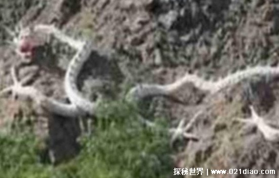 中国最恐怖的山，万祖之山昆仑山死亡谷出现神奇雷电电死了牧民