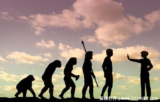 人类真的还会进化吗？会科学家认为人类未来会进化成全新生物