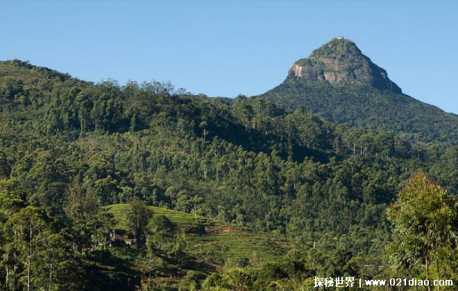 地球上十大净化心灵的旅游地 印度大金庙具有宗教感