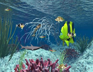 地球上有400种可变性鱼 国外媒体披露水中生物如何变化
