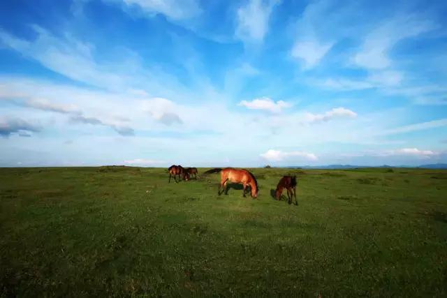 贵州附近有什么草原内蒙古太远贵州这12个地方10